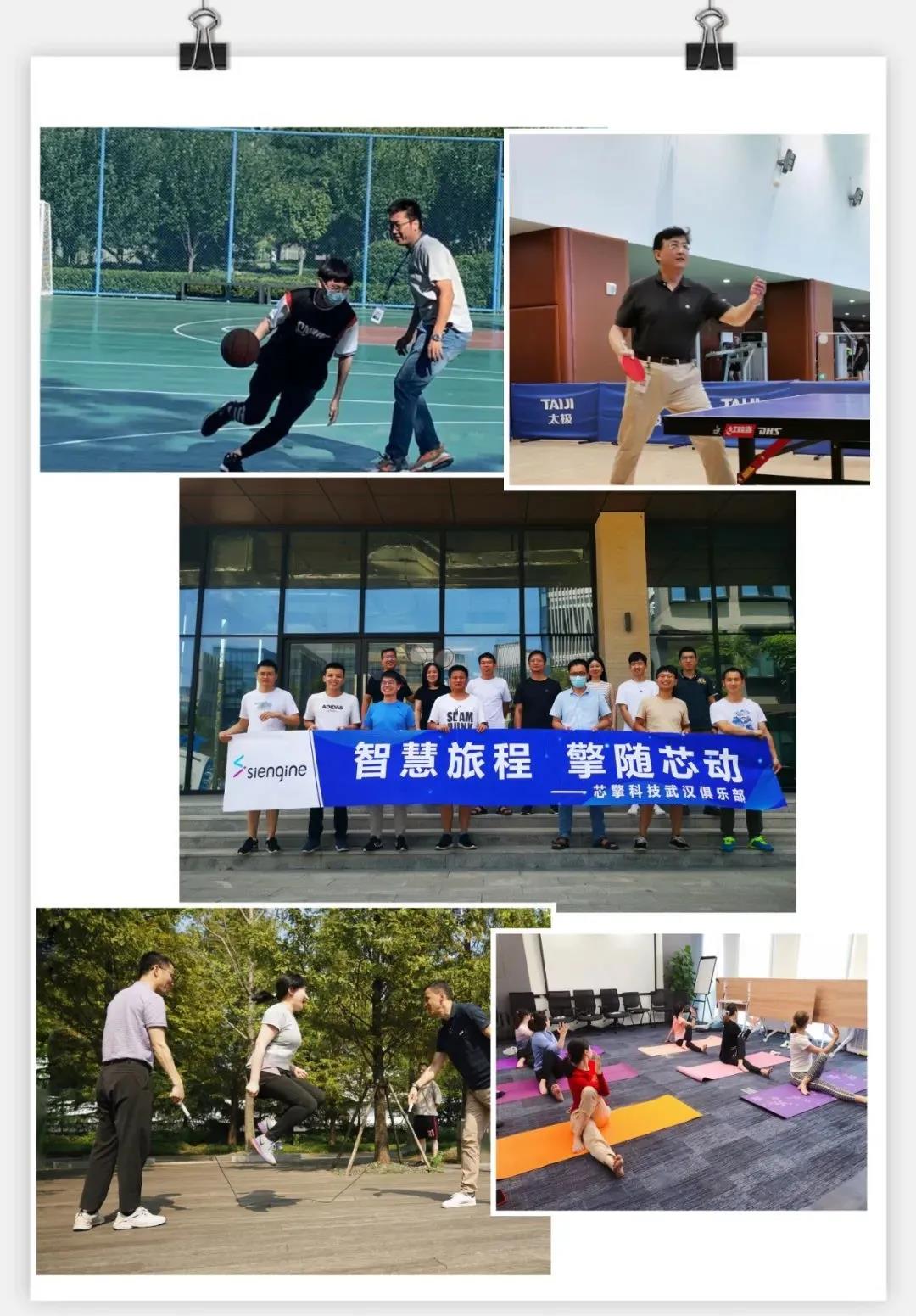 金牛版免费网