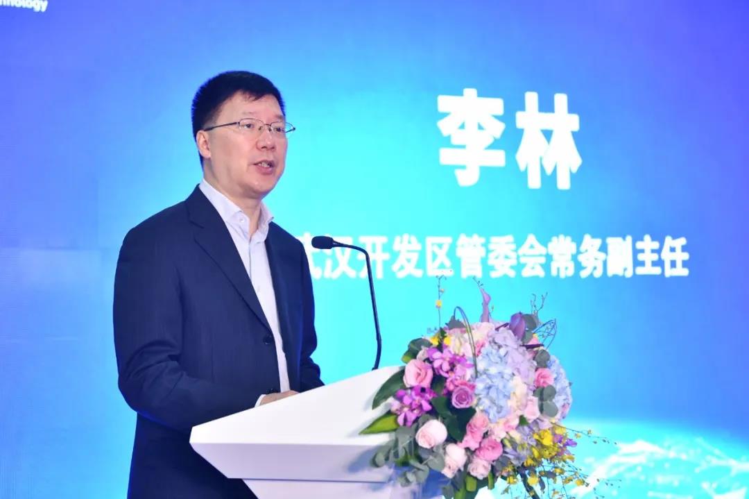 金牛版免费网