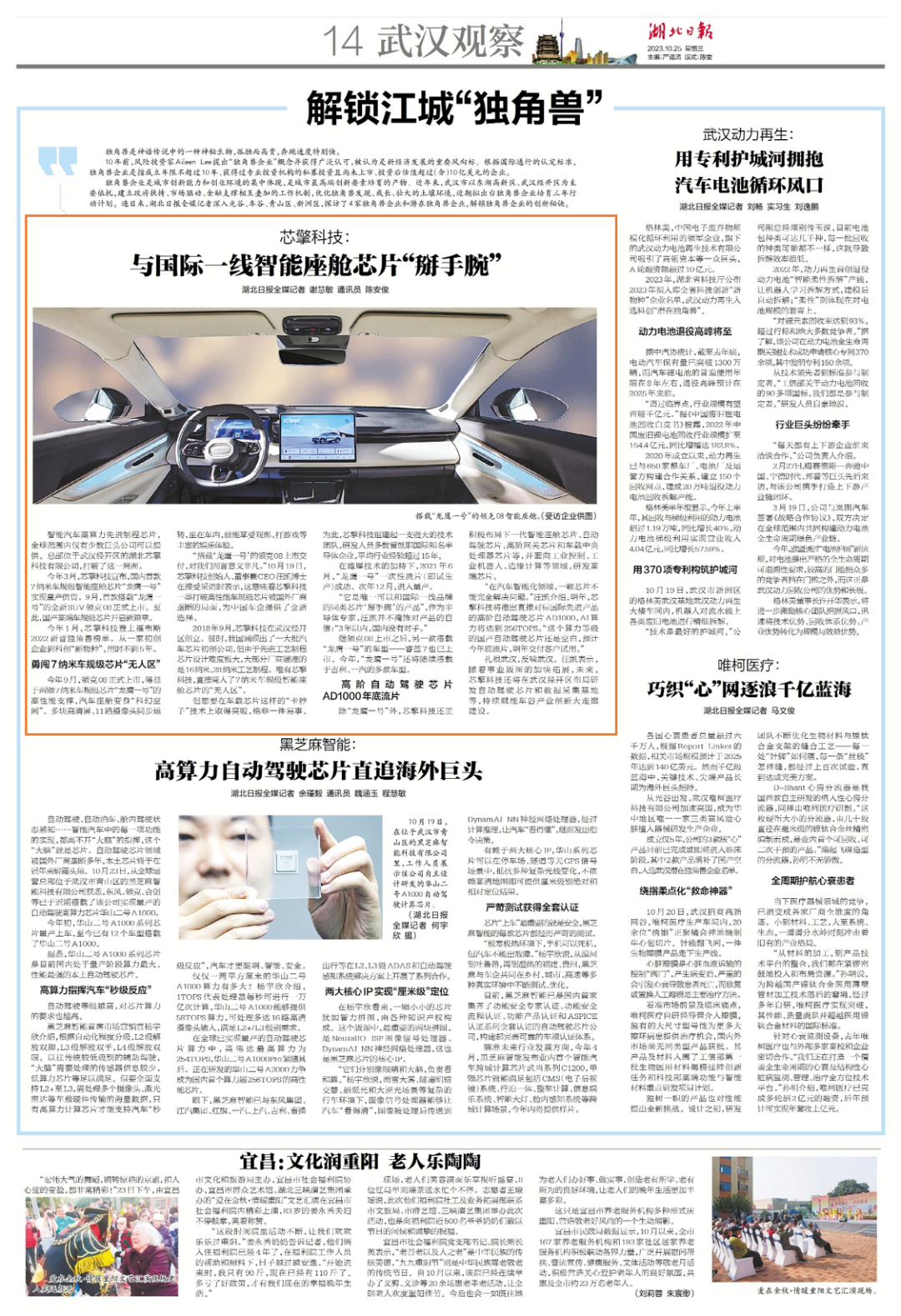 金牛版免费网