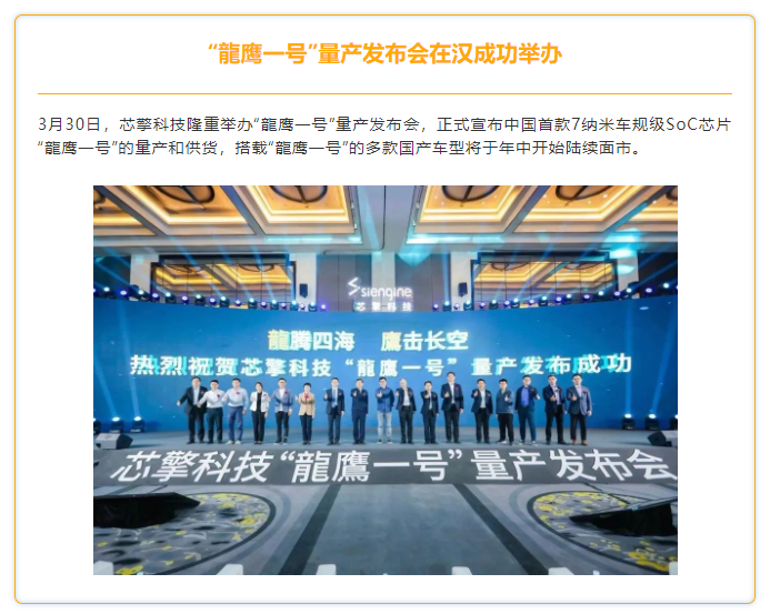 金牛版免费网